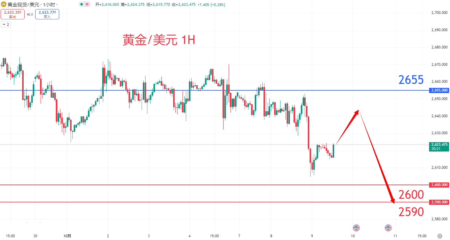 商品类别|日内关注焦点				