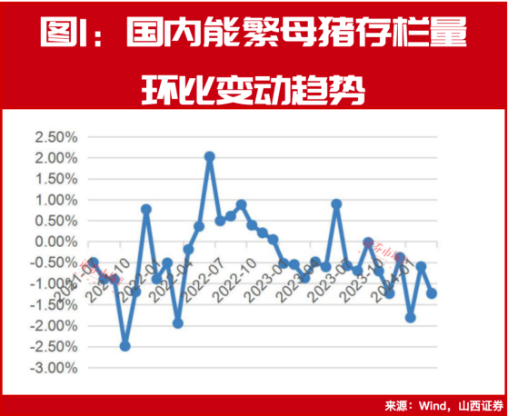 拐点来临!牧原、温氏等公司抢跑猪周期