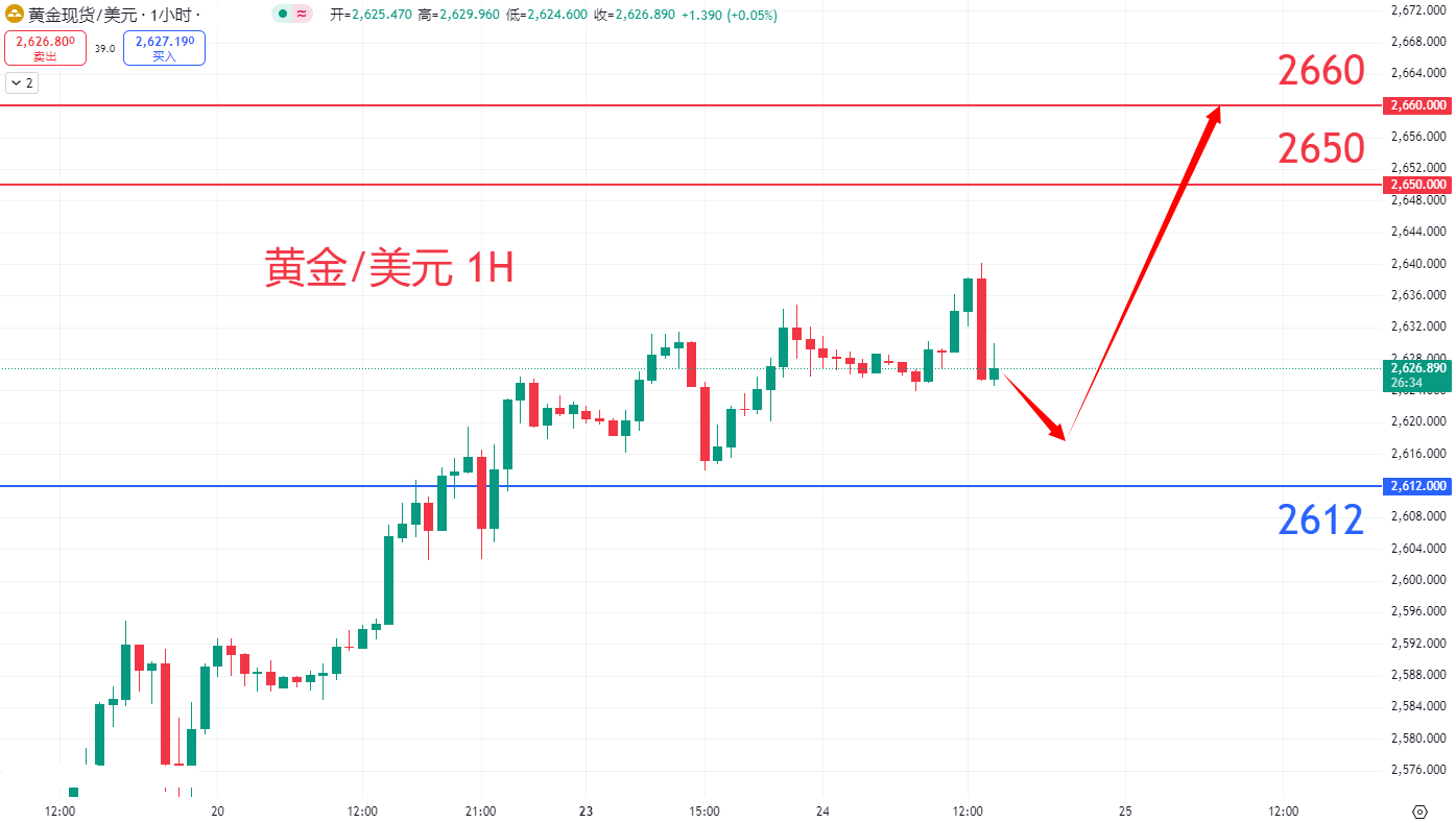 商品类别|日内关注焦点				