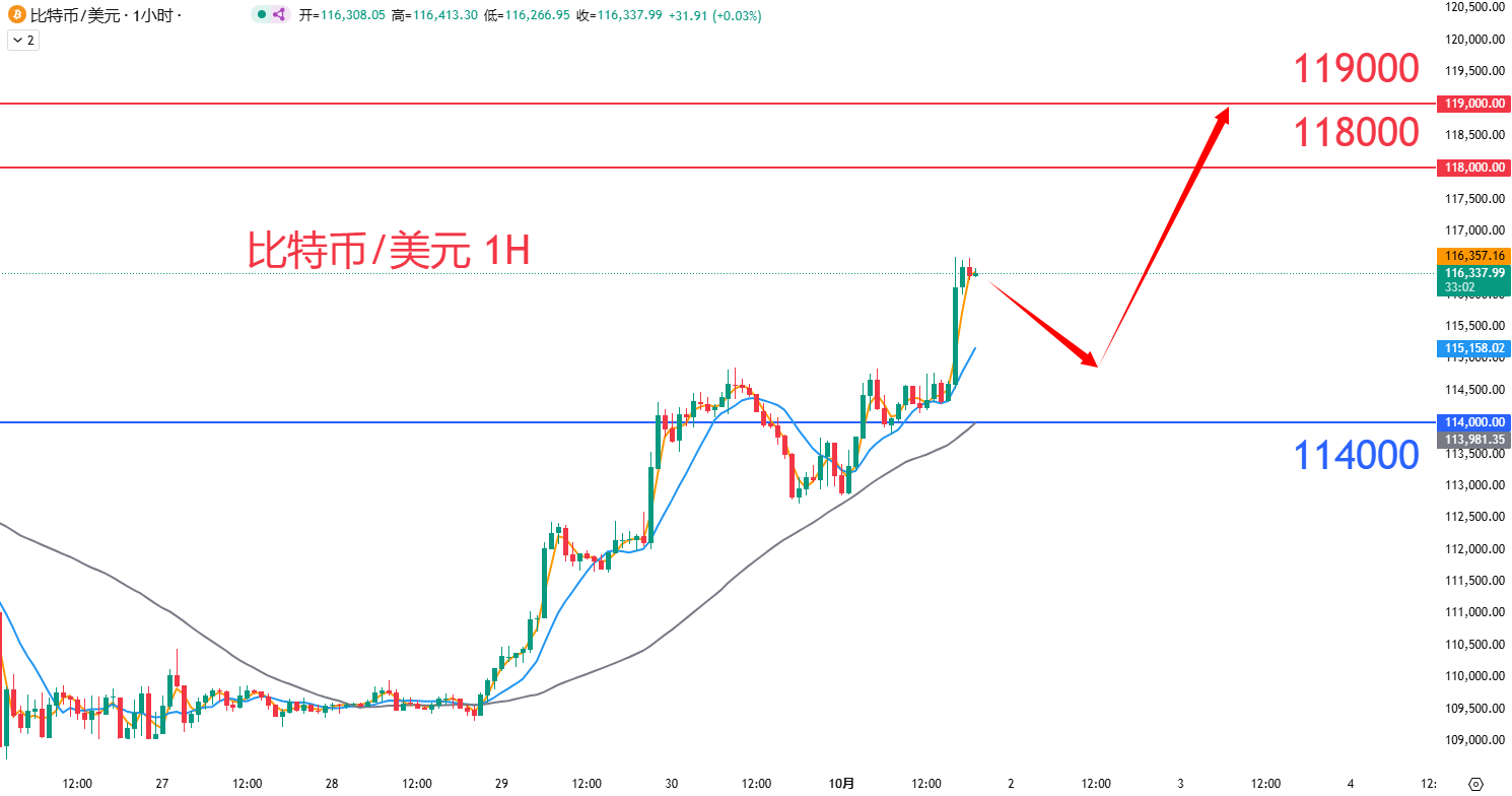 btc.png