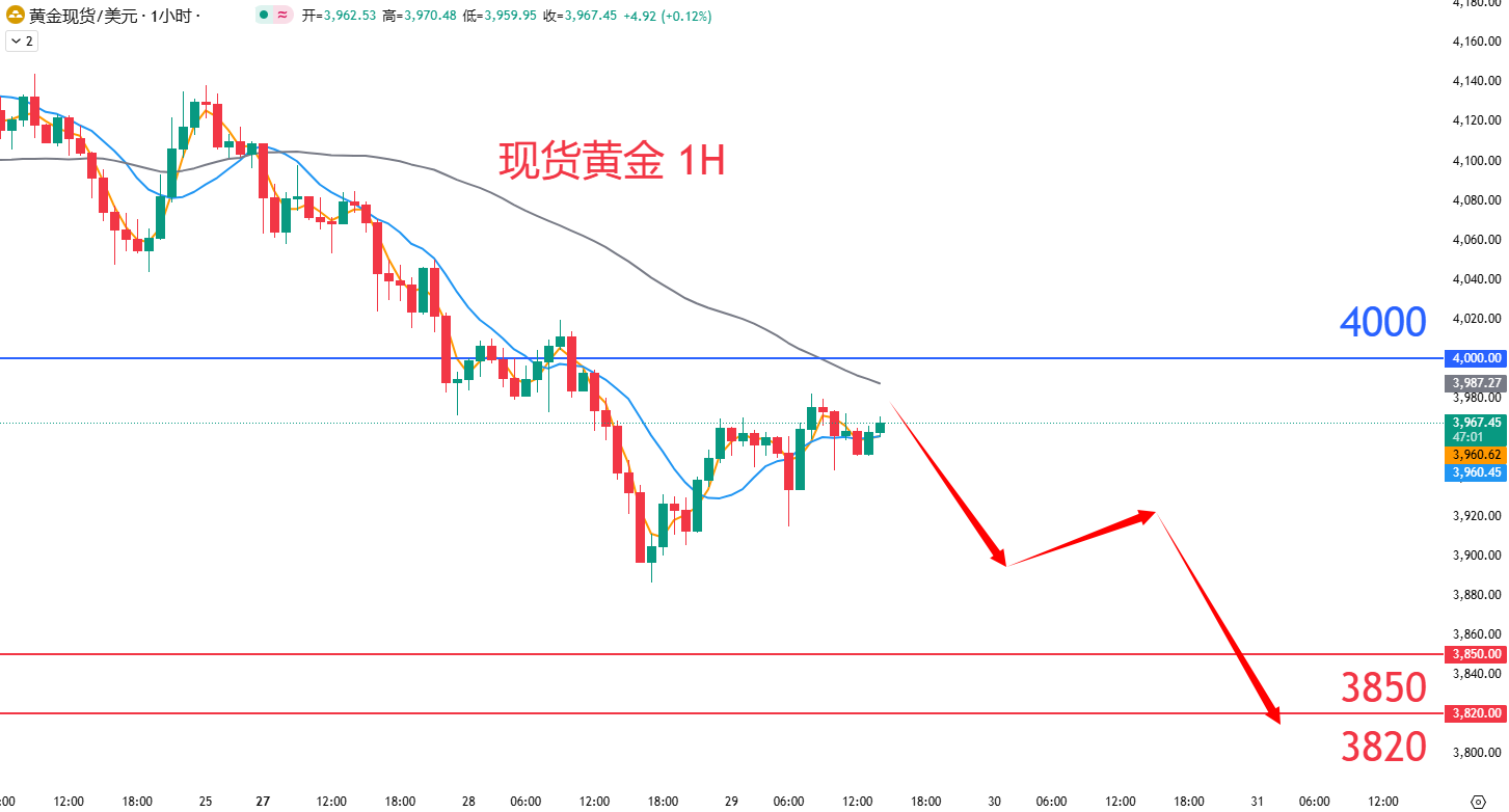 商品类别|日内关注焦点				