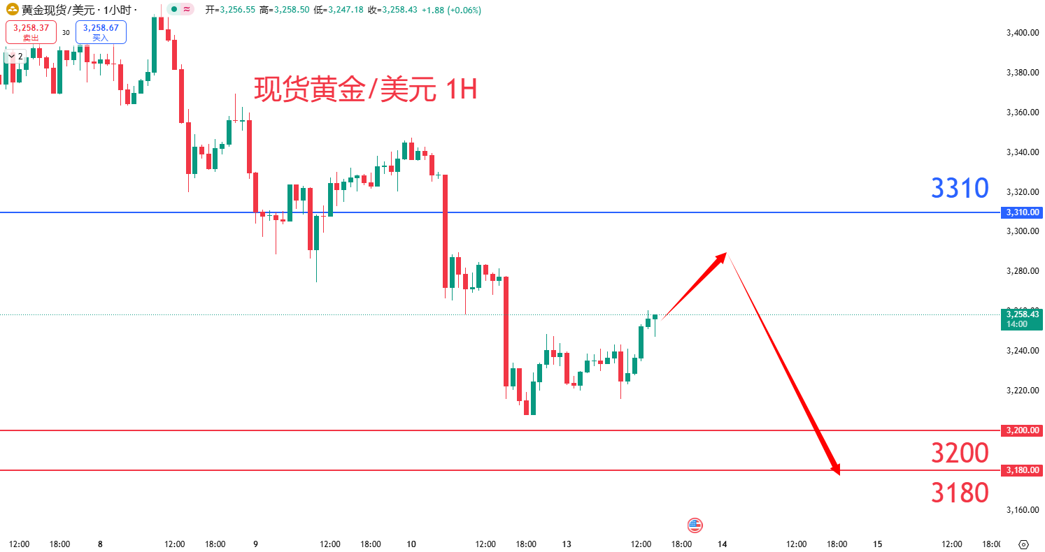 商品类别|日内关注焦点				