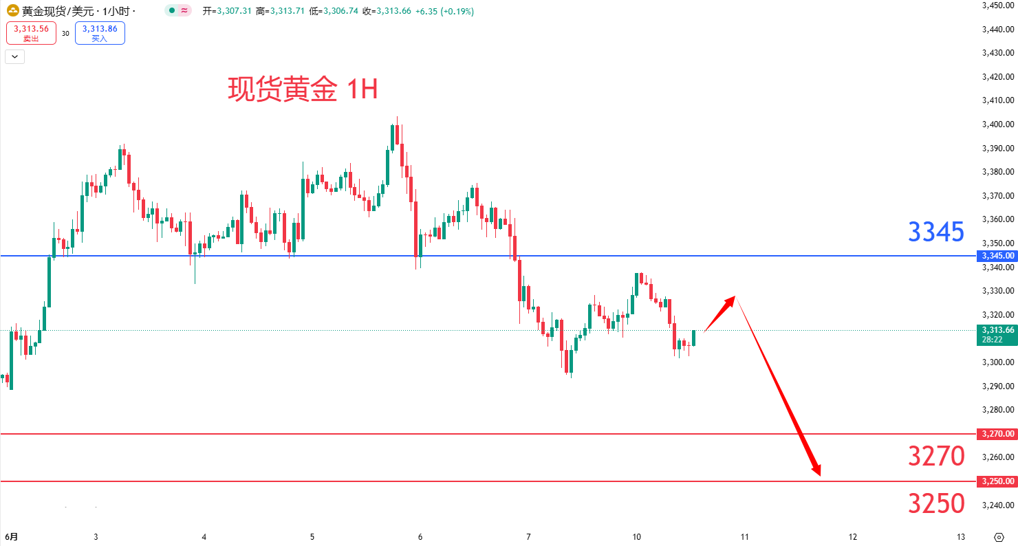 商品类别|日内关注焦点				
