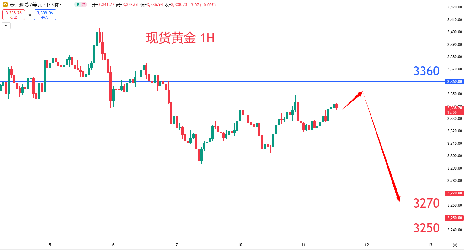 商品类别|日内关注焦点				