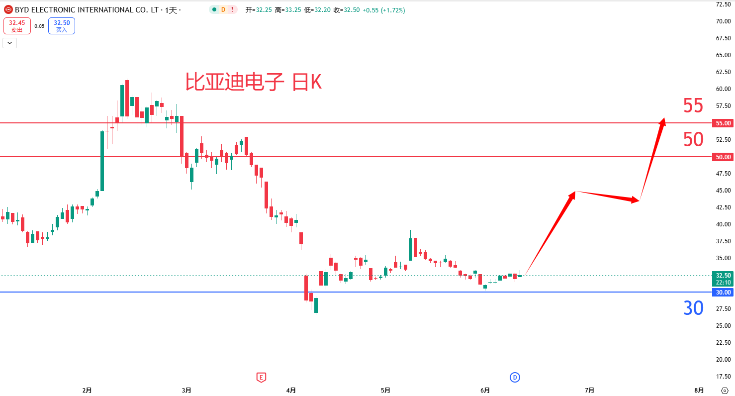比亚迪电子				