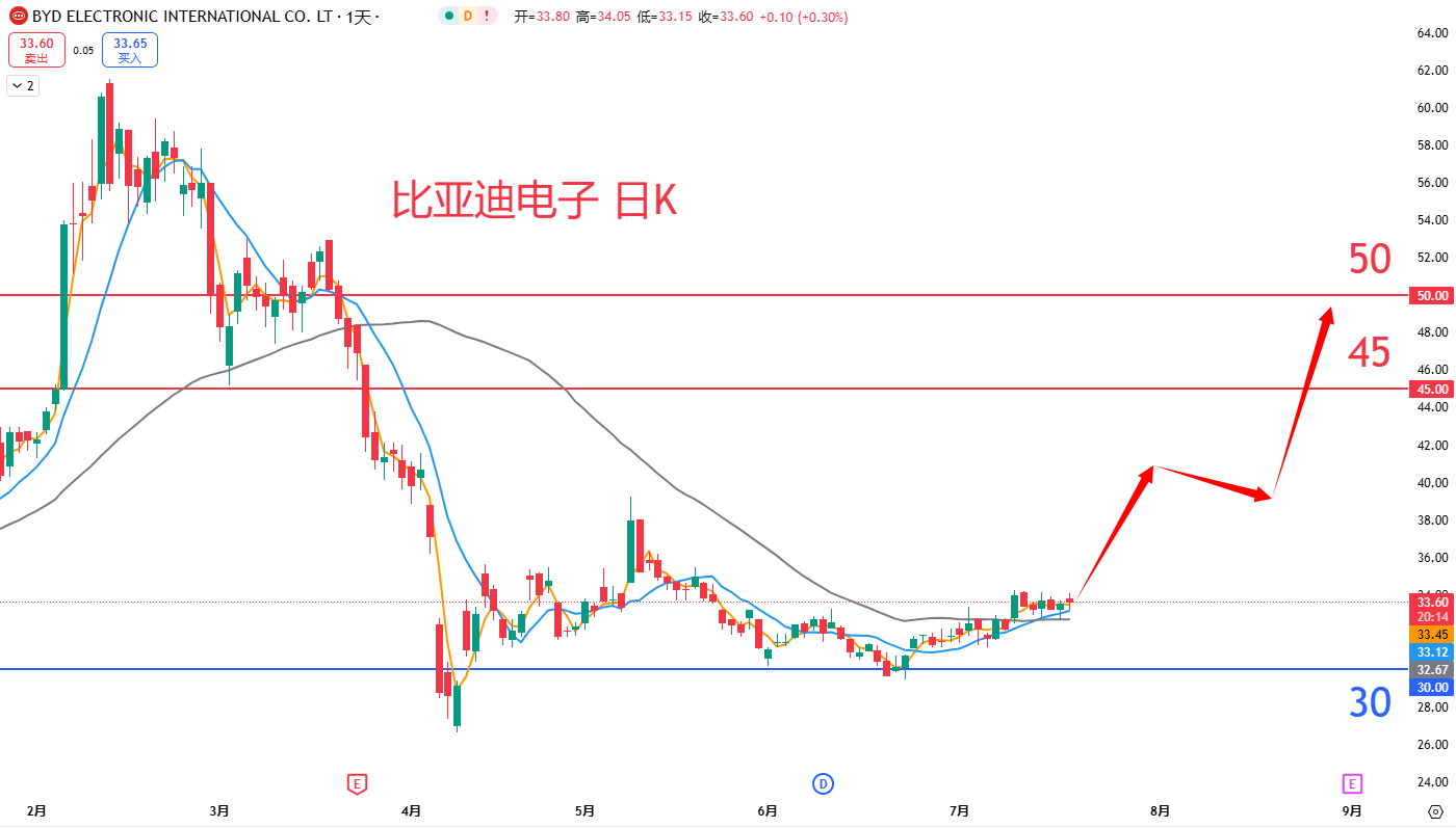 比亚迪电子				