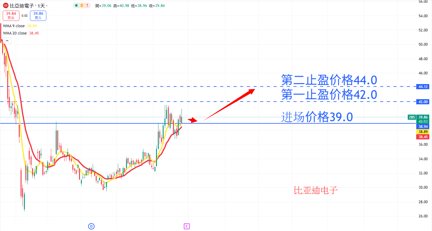 比亚迪.png