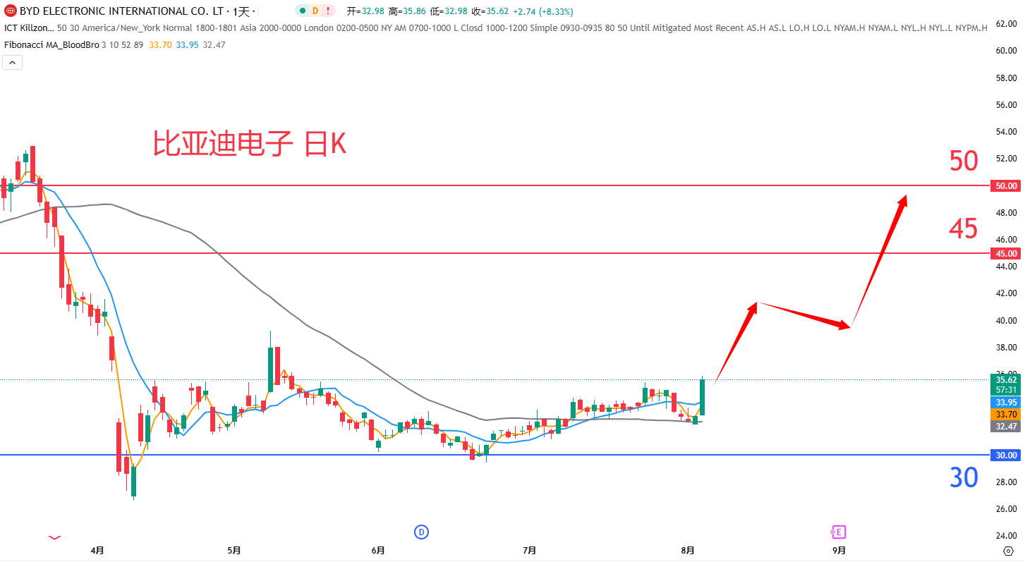 比亚迪电子				