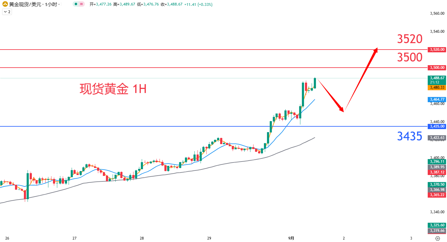 商品类别|日内关注焦点				