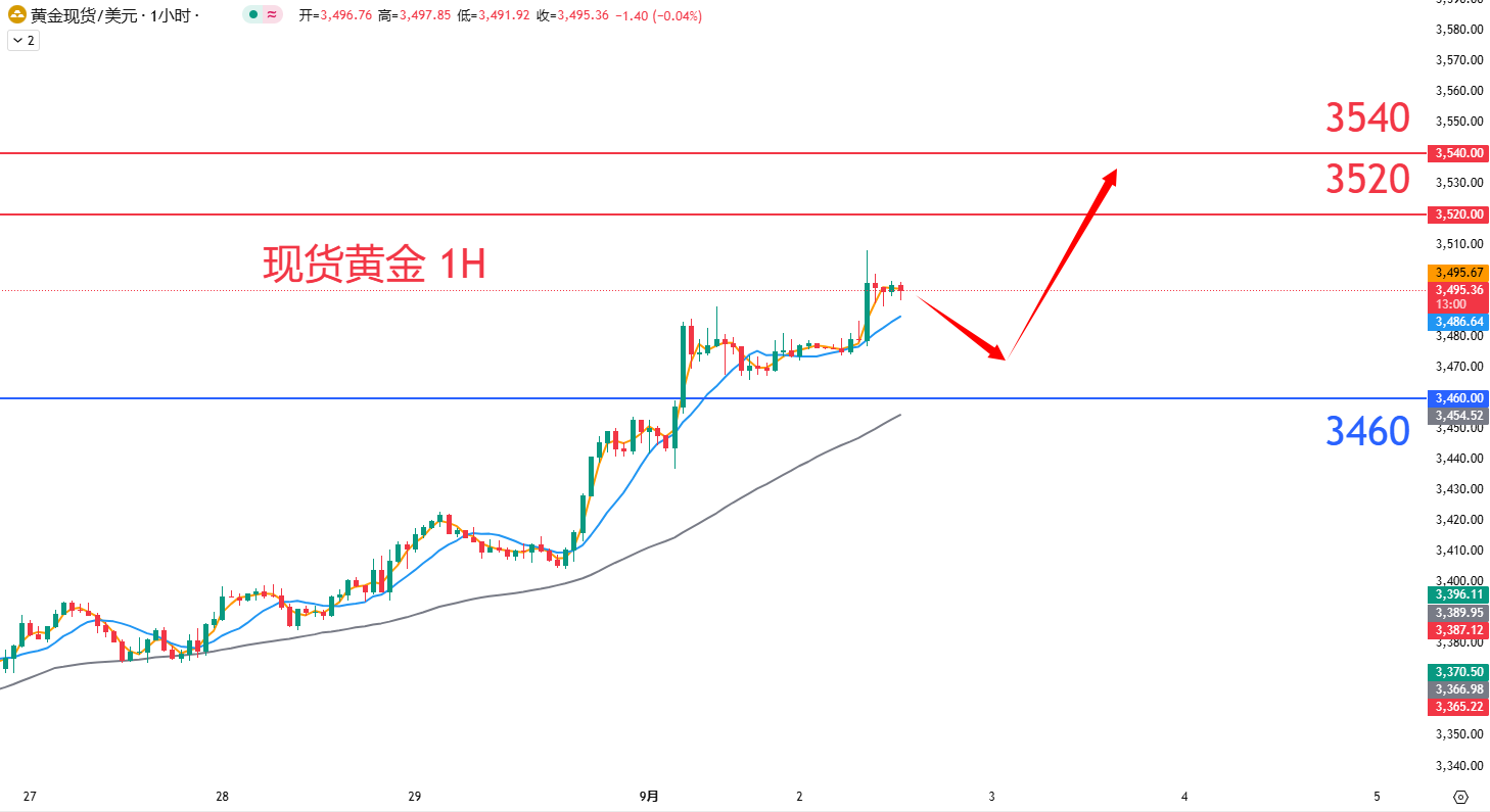 商品类别|日内关注焦点				