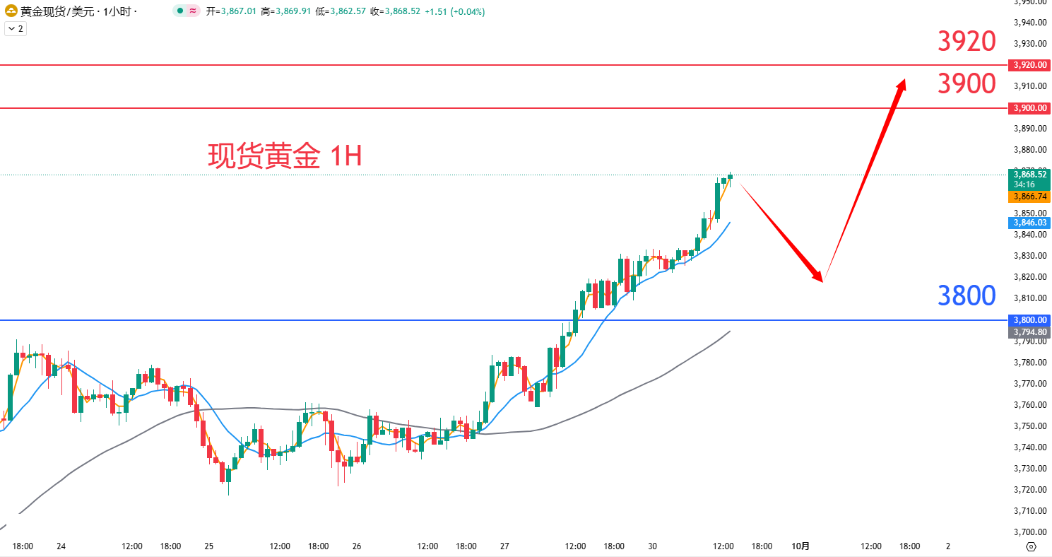商品类别|日内关注焦点				