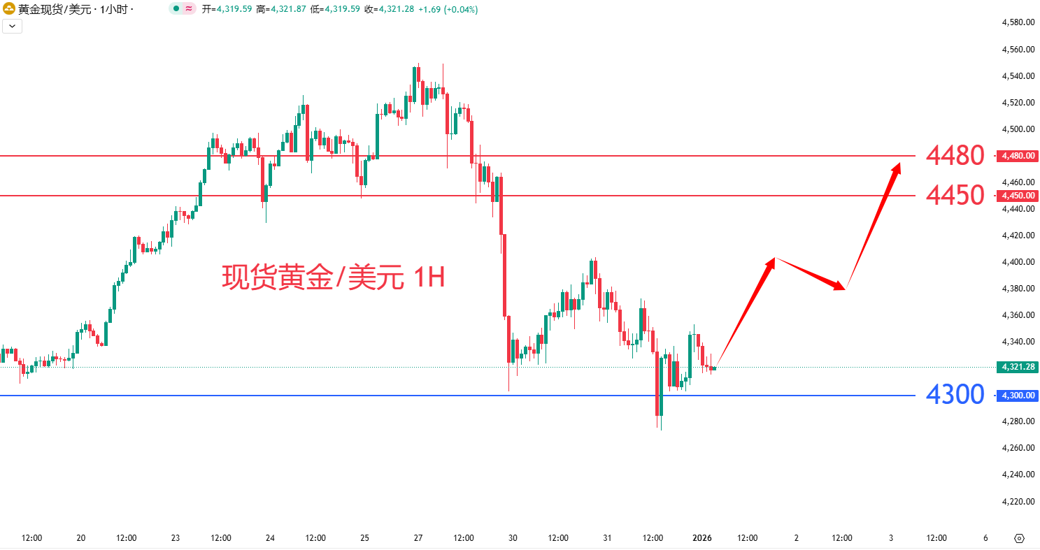 商品类别|日内关注焦点				