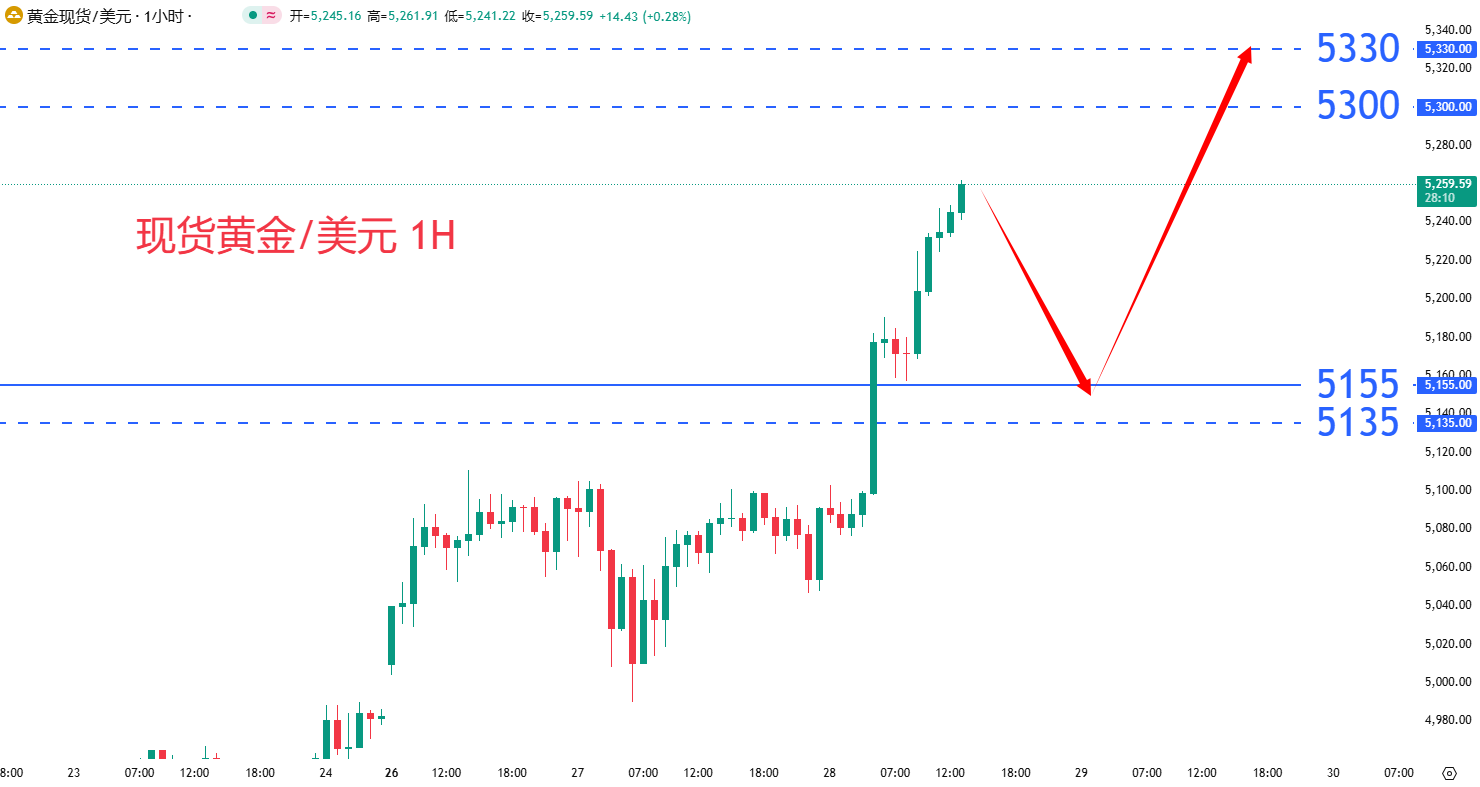 商品类别|日内关注焦点				