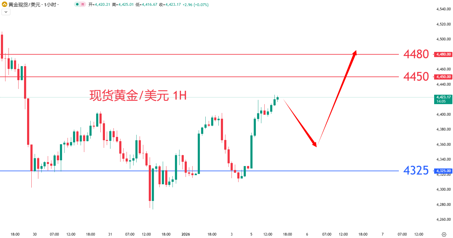 商品类别|日内关注焦点				