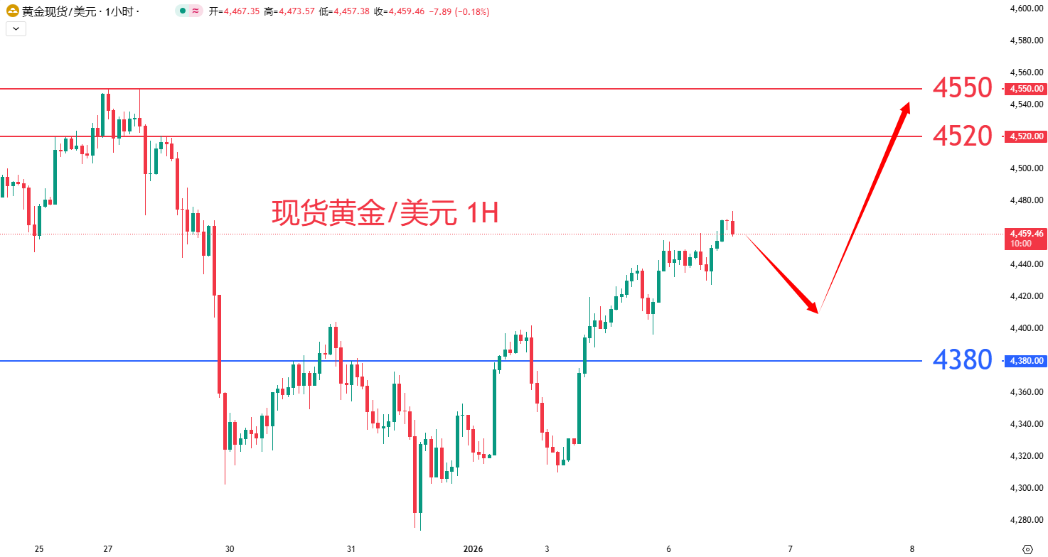 商品类别|日内关注焦点				