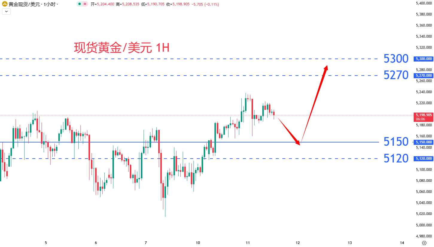 商品类别|日内关注焦点				