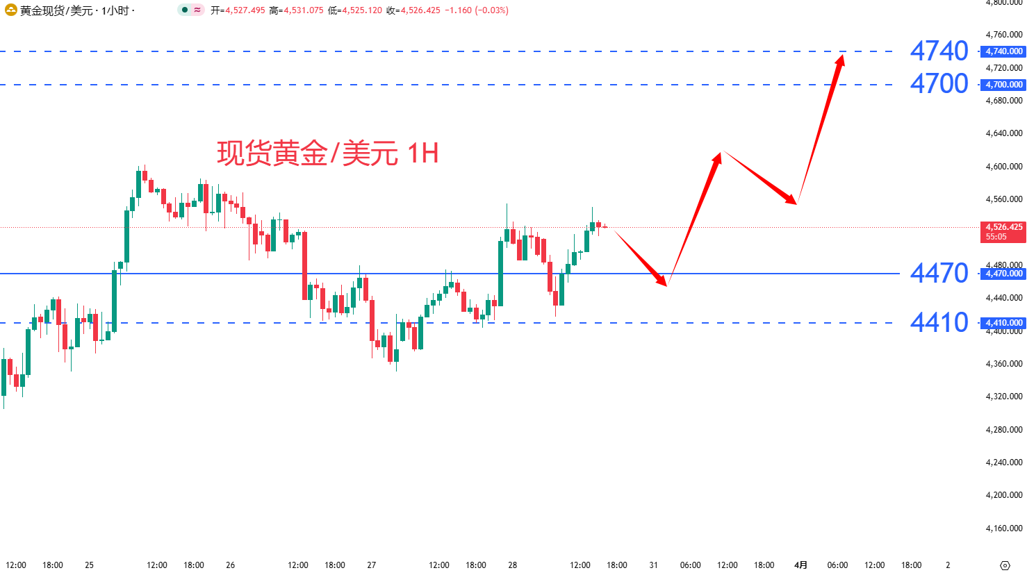 商品类别|日内关注焦点				