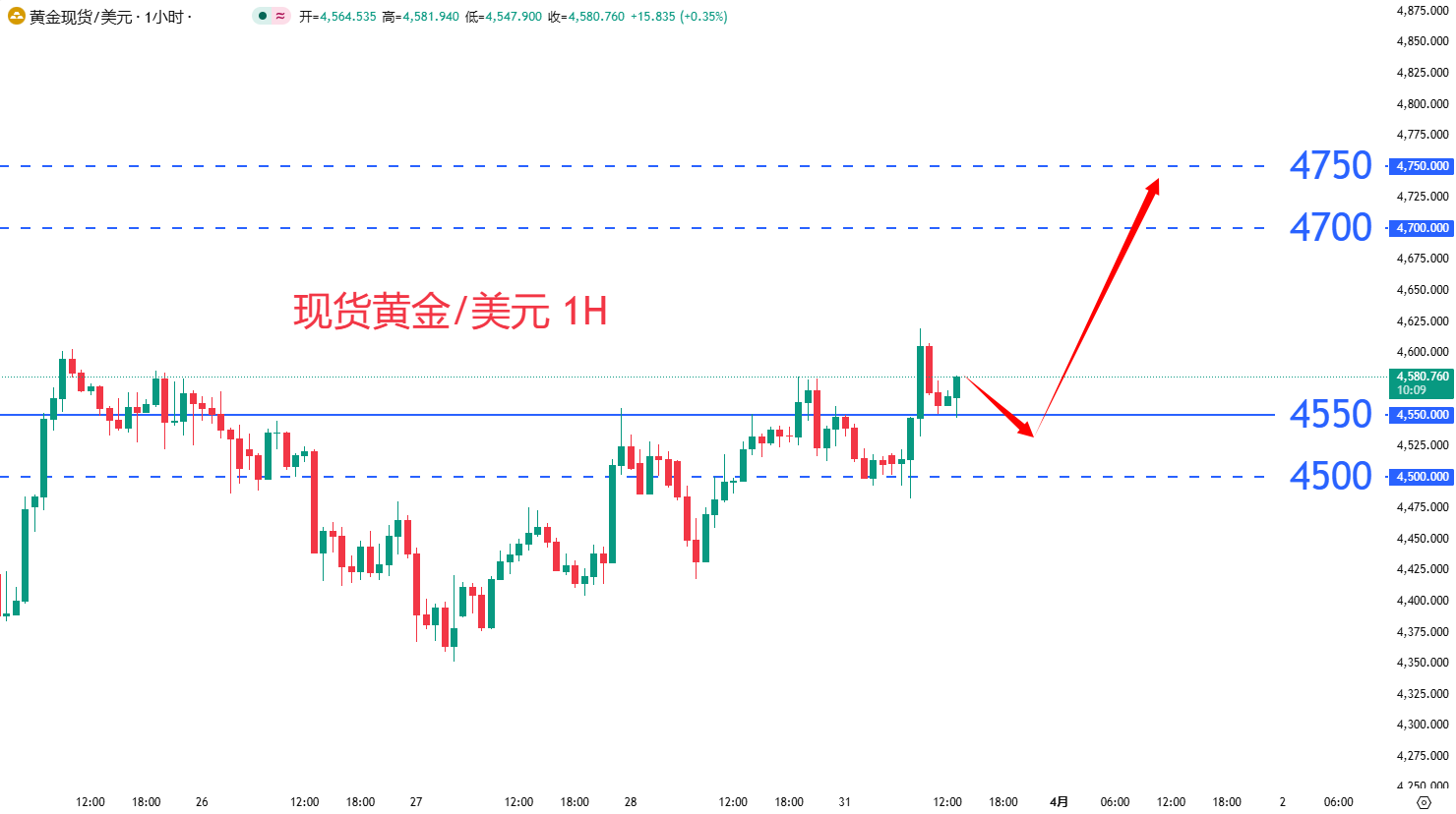 商品类别|日内关注焦点				