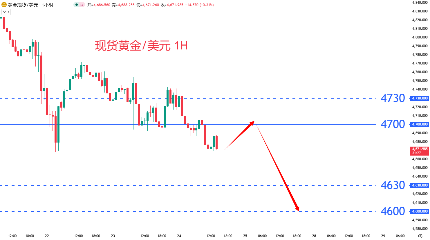 商品类别|日内关注焦点				