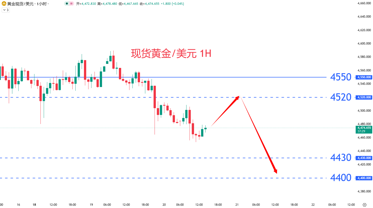 商品类别|日内关注焦点				