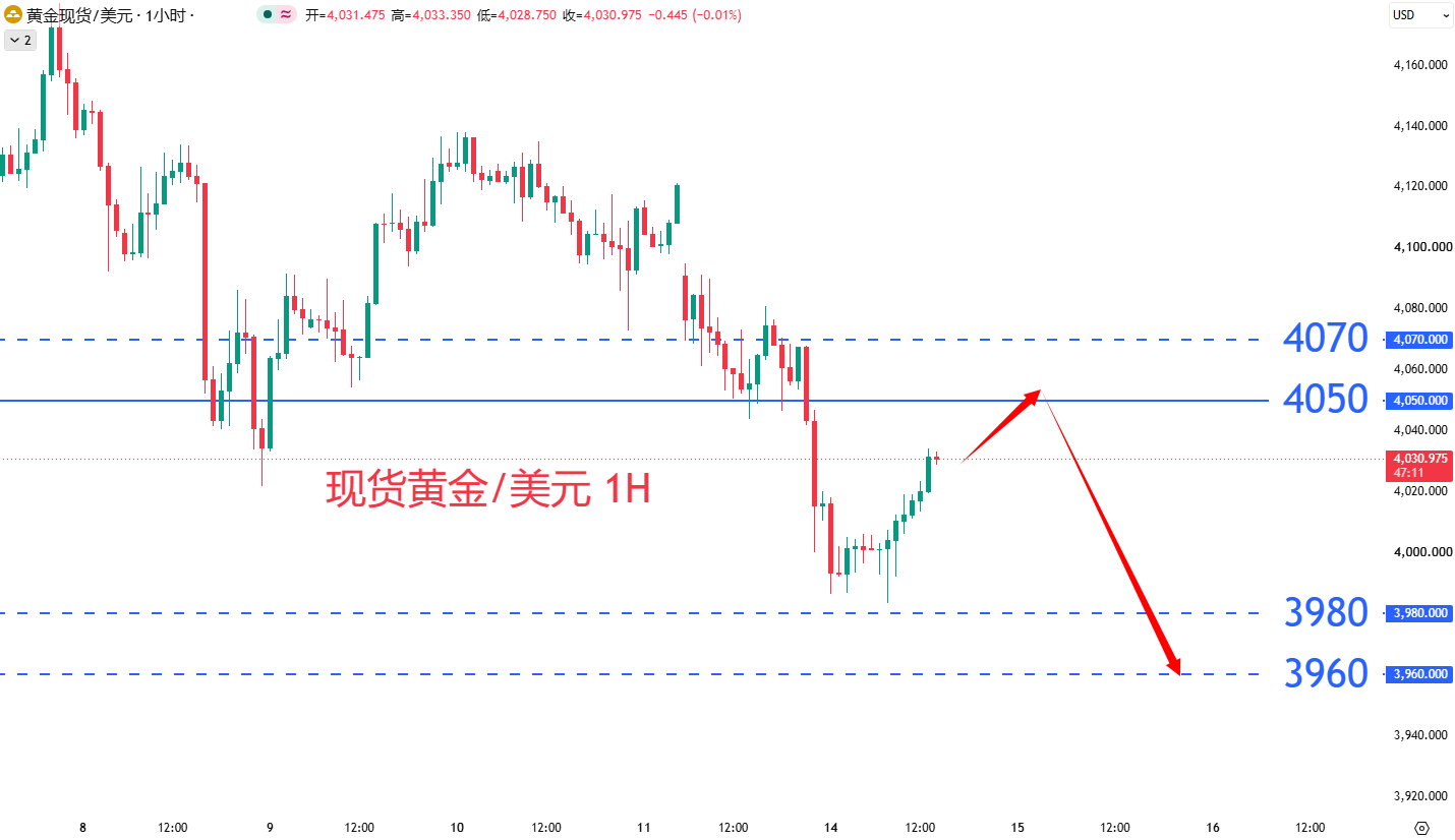 商品类别|日内关注焦点				