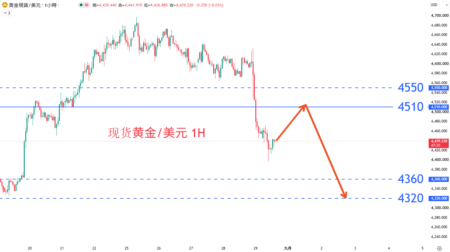 商品类别|日内关注焦点				