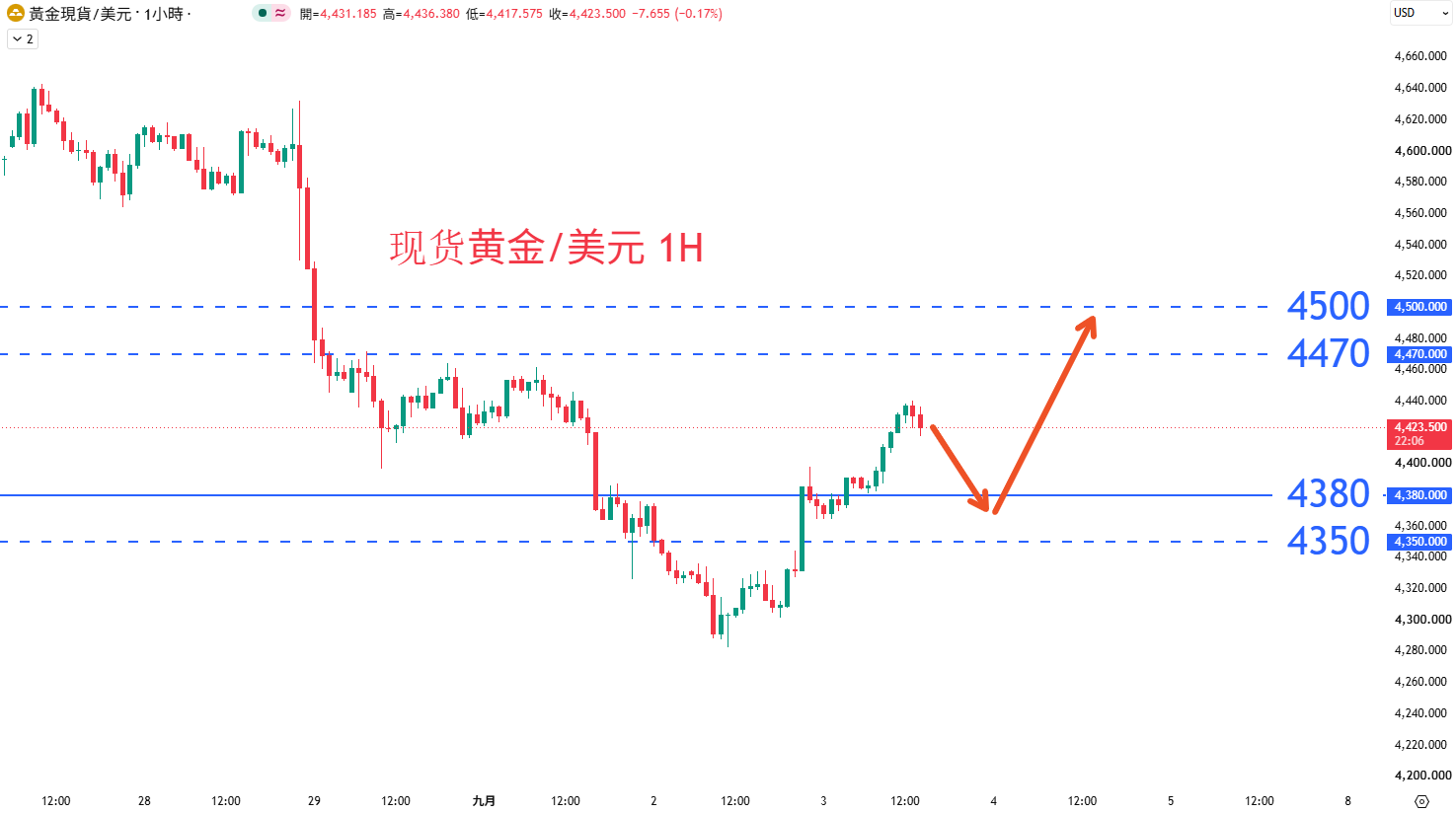 商品类别|日内关注焦点				